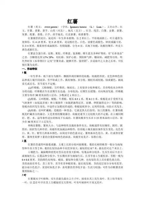 红薯种植技术及病虫害防治