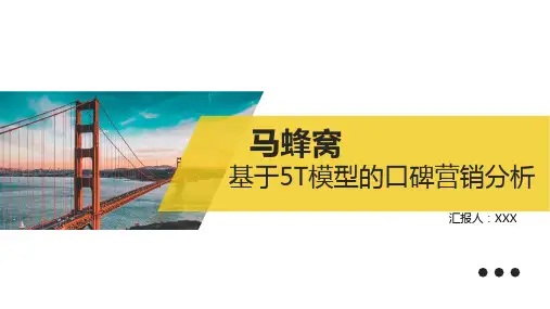 蚂蜂窝基于5T模型的口碑营销分析网络营销策划