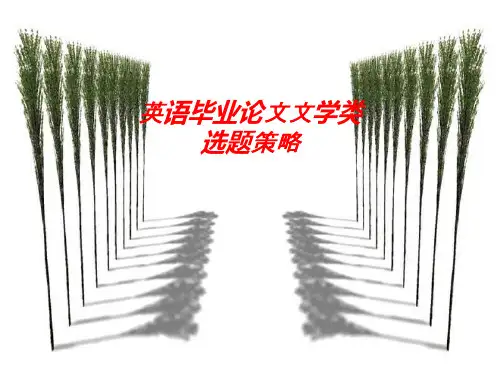 英语毕业论文选题(文学方向)
