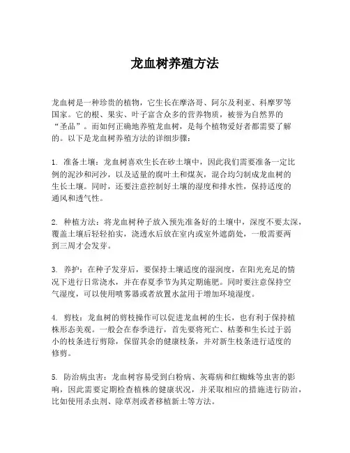 龙血树养殖方法