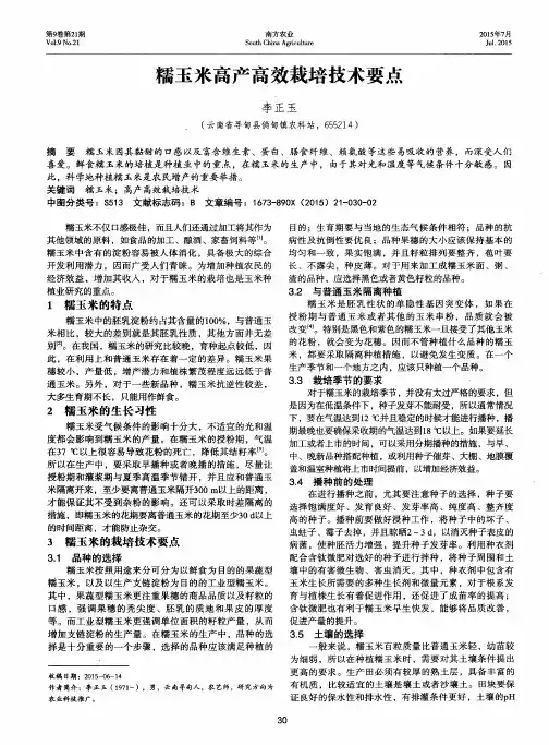 糯玉米高产高效栽培技术要点
