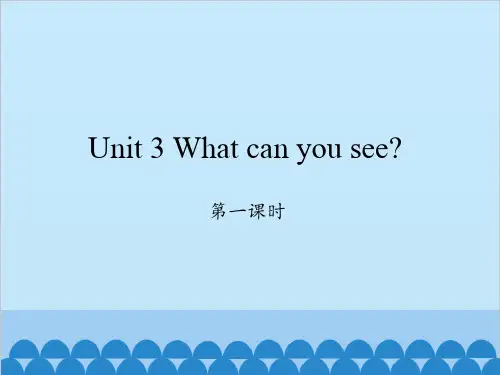 新湘少版(三起)四年级下册英语课件-Unit 3 What can you see？第一课时