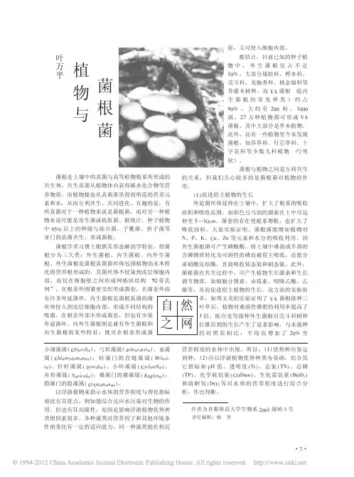 植物与菌根菌