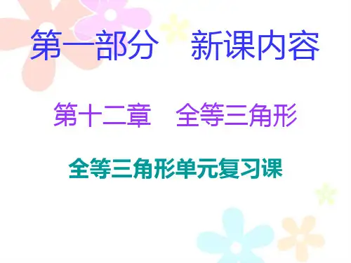 全等三角形单元复习课 —初中数学课件PPT