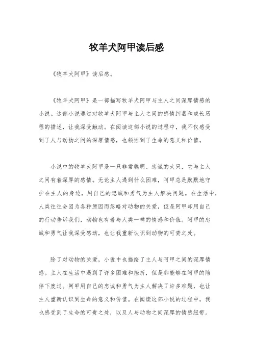 牧羊犬阿甲读后感