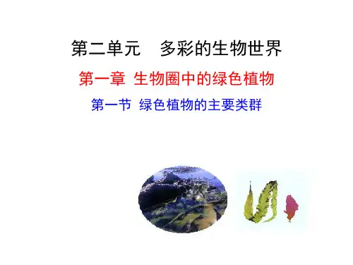 济南版七年级生物上册第一节绿色植物的主要类群