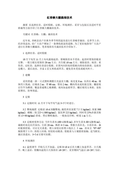 红香椿大棚栽培技术