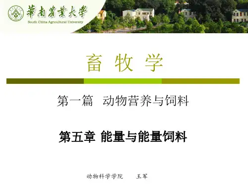 畜牧学：第五章 能量与畜禽营养