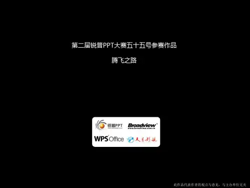 第2届锐普PPT大赛获奖作品(一等奖)：腾飞之路
