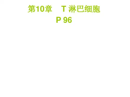 第10章 T淋巴细胞