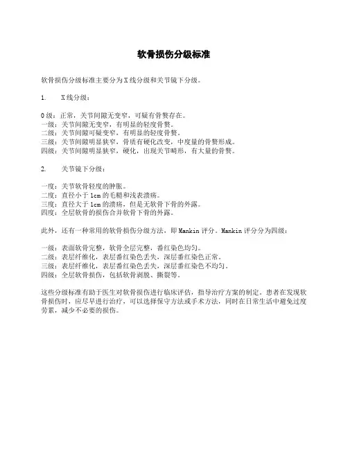 软骨损伤分级标准