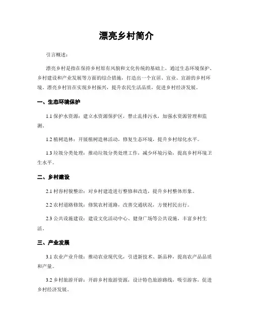 美丽乡村简介