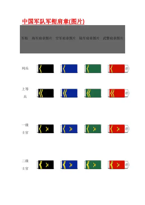 中国军队军衔肩章及图片 (含警察)
