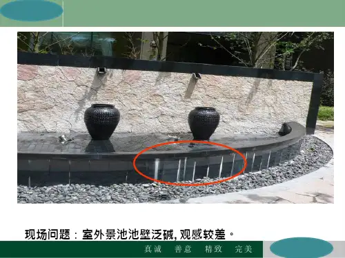 绿城地产集团  工程管理 培训  工程质量缺陷照片汇编-景观与外立面