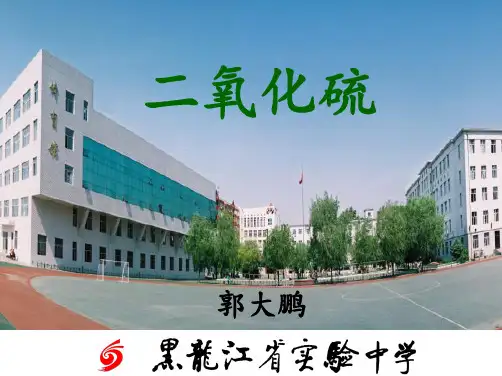全国高中化学优质课大赛课题：二氧化硫