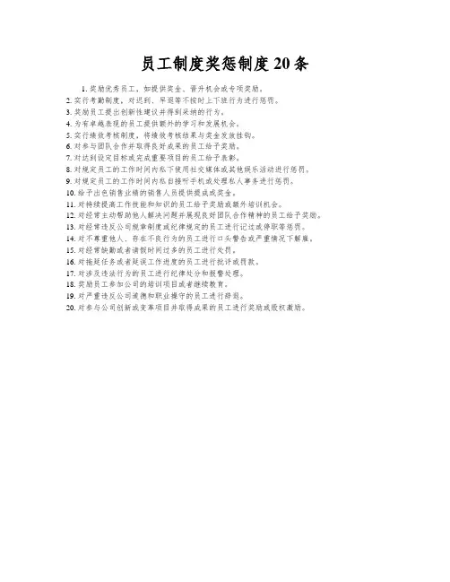 员工制度奖惩制度20条