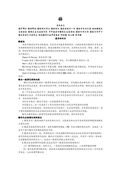 生物化学3 酶