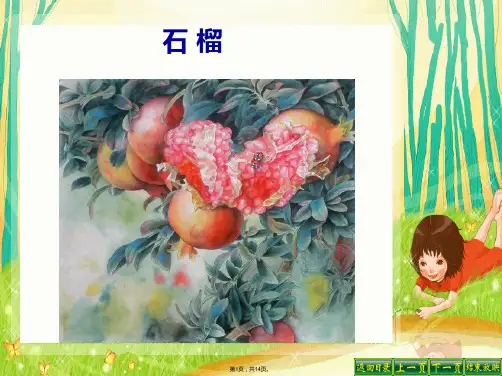 16石榴第二课时(完美版)
