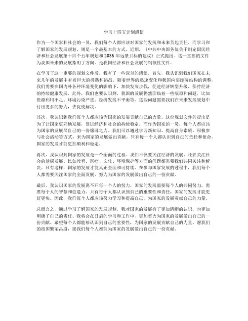 学习十四五计划感悟
