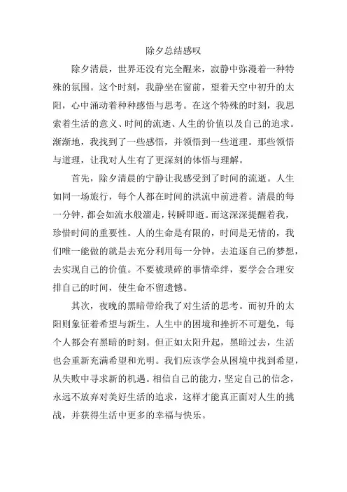 除夕总结感叹