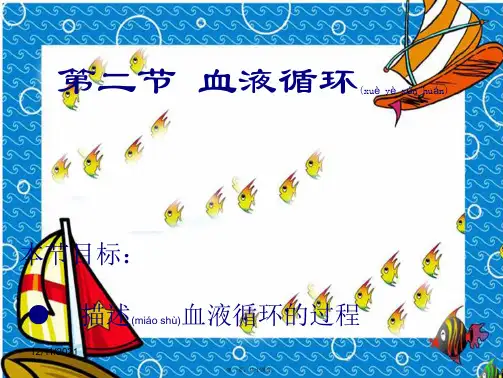 七年级生物下册 10.2 血液循环课件