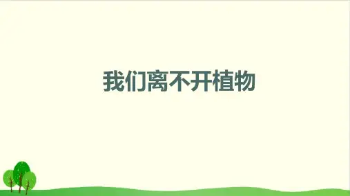 教科版《校园里的植物》精品教学课件1