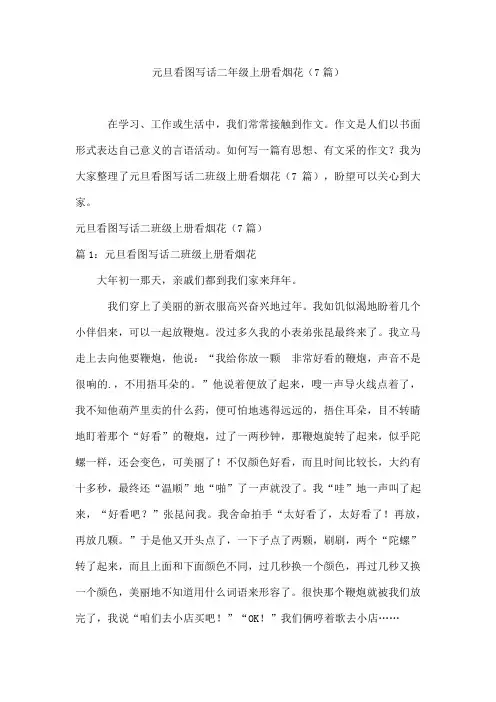 元旦看图写话二年级上册看烟花(7篇)