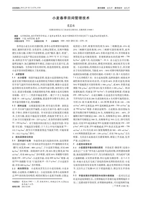 小麦春季田间管理技术