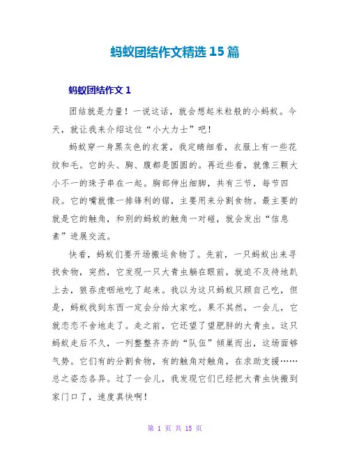 蚂蚁团结作文精选15篇
