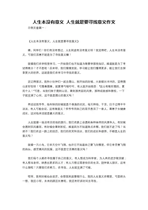 人生本没有意义 人生就是要寻找意义作文