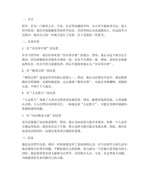 哲学反思模板初中版