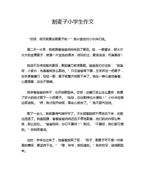 割麦子小学生作文
