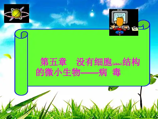 八年级生物上册《第五单元 第五章 病毒》课件上册生物课件
