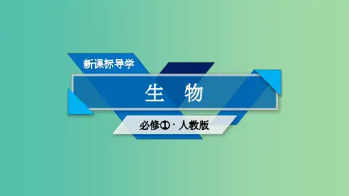 高中生物第三章细胞的基本结构章末归纳整合新人教版