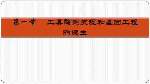 工具酶的发现和基因工程的诞生(课件)