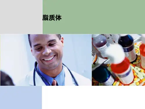 脂质体_精品文档