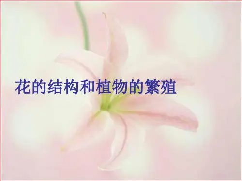 八年级生物下册第4章生物的类群4.1植物_花的结构和植物的繁殖课件沪教版