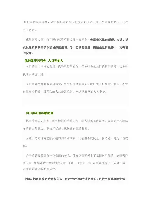 向日葵的花语我的眼里只有你