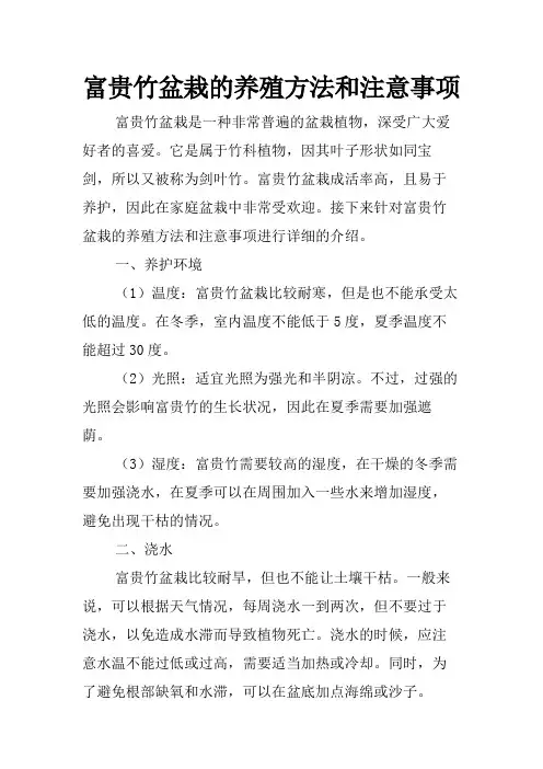 富贵竹盆栽的养殖方法和注意事项