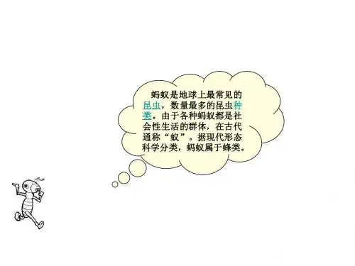 蚂蚁 Microsoft PowerPoint 演示文稿