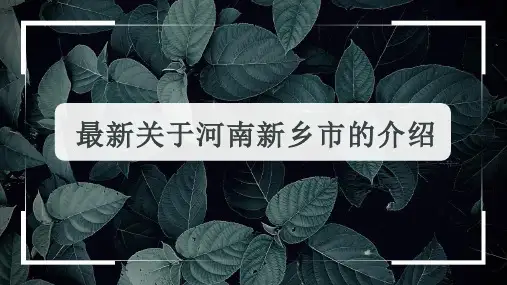 最新关于河南新乡市的介绍