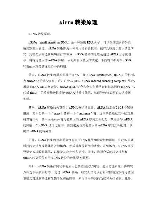 sirna转染原理