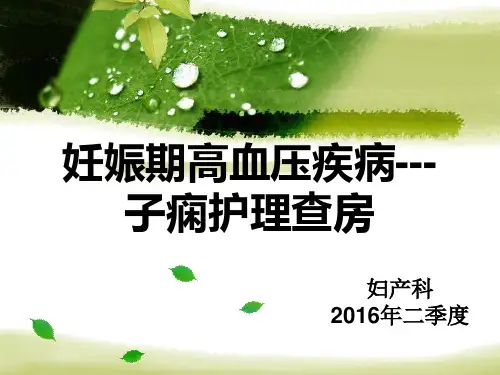 妊高症-子痫护理查房 (1)