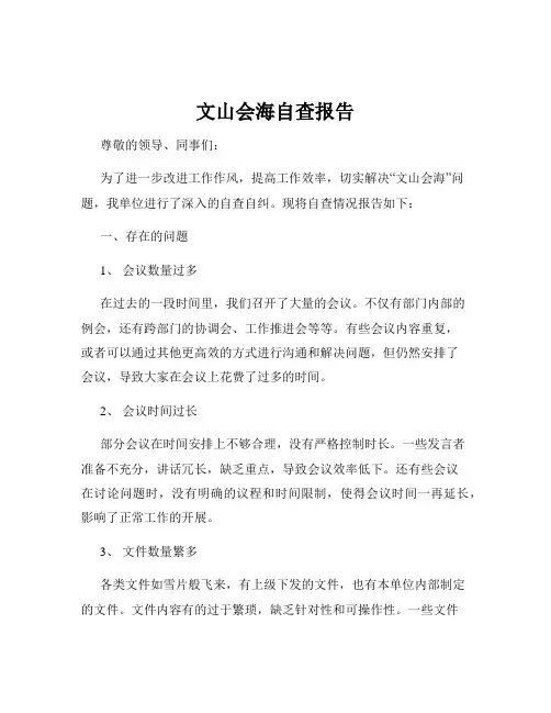 文山会海自查报告