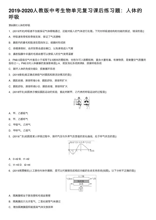 2019-2020人教版中考生物单元复习课后练习题：人体的呼吸