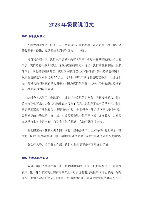 2023年袋鼠说明文
