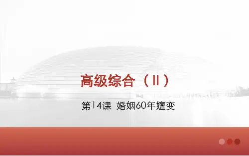 对外汉语高级综合Ⅱ教程第14课