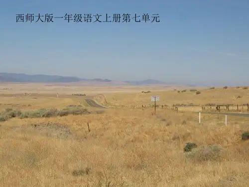 西师大版荒地 PPT