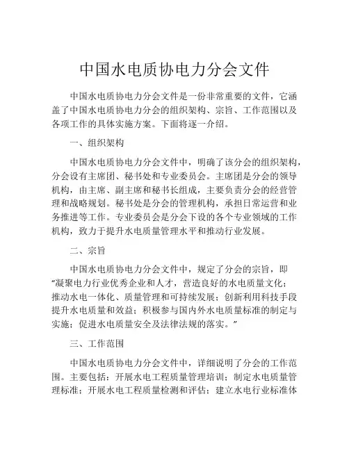 中国水电质协电力分会文件