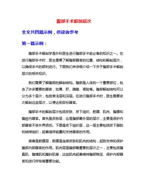 腹部手术解剖层次